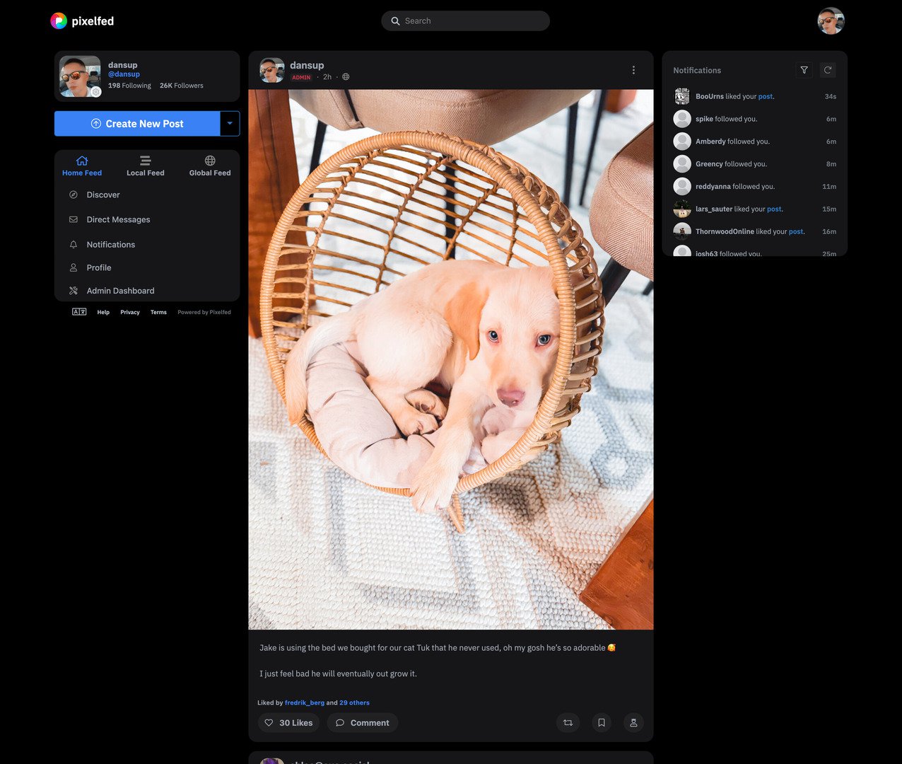 Pixelfed web user interface in light mode